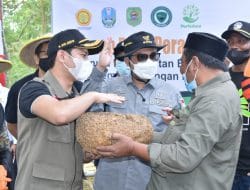 Gus Ipin Tawarkan Inovasi Bisnis Investasi Porang di Trenggalek