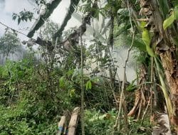 Kandang Sapi Kebakar, Tiga Pemadam Dikerahkan