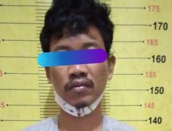 Satresnarkoba Polres Tanggamus Tangkap Tersangka Terduga Pengedar Ganja