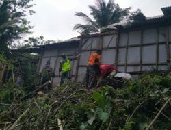 Babinsa Kodim 0806 Trengggalek Sigap Bantu Evakuasi Rumah Tertimpa Pohon Tumbang