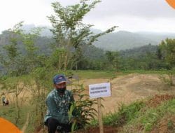 Gunung Limo Jadi Emblem Pemkab Pacitan, Tirisanpun Direhabilitasi