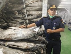 KKP Akan Tindak Tegas Pelaku Usaha Impor yang Melanggar Ketentuan