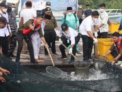 Bangunkan “Sleeping Giant” Budidaya Laut, KKP-Kepri Tatap Peluang Ekspor