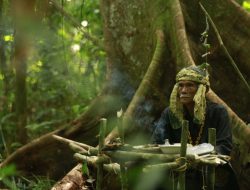 Film Dokumenter The Flame, Ungkap Kisah Nyata Pejuang Hutan Adat di Kalimantan
