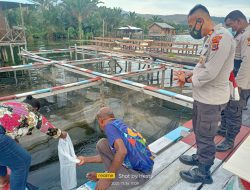 Satgas Binmas Noken Serahkan 1.000 Bibit Ikan Mujair Ke Bumdes Kampung Asei Besar