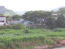 Dua Tambang PT GLI dan DFMI Kantongi Ijin IUP, Produksi Terhenti Karena Teknik