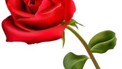 LQ Indonesia Ajak Korban Investasi Gagal Bayar, Berikan Setangkai Mawar Untuk Presiden di Hari Valentine