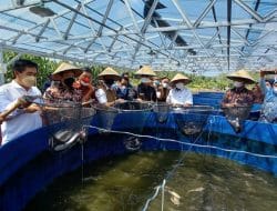 KKP Kembali Canangkan Kampung Perikanan Budidaya, Kali Ini Kampung Lele di Kota Prabumulih