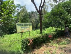 PAD Rendah, Perumda Panglungan Wonosalam Terkendala Tanaman Musim