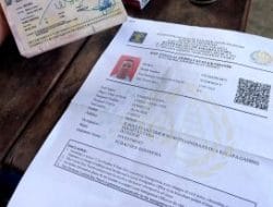 Aksi Penambangan Emas Ilegal Pakai Alat Berat Makin Marak di Nabire