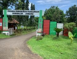 Dewas Perumda Perkebunan Panglungan Jombang, Akui Tak Mampu Monitor Secara Detail