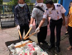 KKP Musnahkan 20 Kg Bakso Ikan Tidak Memenuhi Persyaratan di Ternate