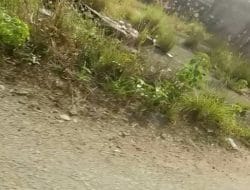 Sebagian Warga Teleng Ria Resah, Limbah Ikan Busuk Menyengat