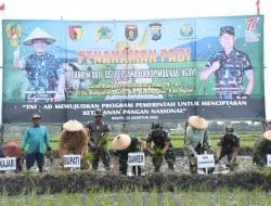 Tanam Padi Simbolis, Danrem Kolonel Deni Singgung Potensi Petani Milenial di Ngawi