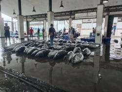 Triangle Wisata Bahari Unggulan Kabupaten Malang