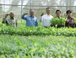 Wamentan dan Wagubsu Kunjungi Kabupaten Asahan