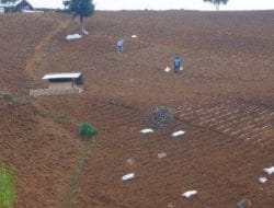 Minim Pemakaman, Pemkab Bogor Minta Lahan Sitaan di Kawasan Puncak Dijadikan TPU