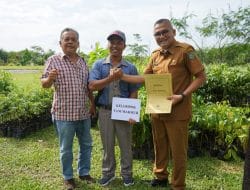 Pemkab Asahan Bagikan 1000 Bibit Pohon