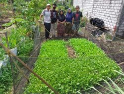 PPM Budidaya Sawi Hijau dengan Pupuk Organik Metode JADAM di desa Banyu Urip Kecamatan Menganti Kota Gresik