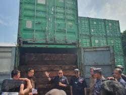 57 Kontainer Kayu Merbau Ilegal Asal Papua di Pelabuhan Tanjung Perak Diamankan KLHK