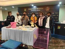 Celana Dalam Dipakai, Majikan Tega Siram ART dengan Air Panas hingga Memaksa Makan Kotoran Anjing