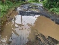 Dinas PUPR Kabupaten Bogor Biarkan Jalan Rusak di Desa Kutamekar