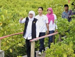 Trenggalek Bakal Menjadi Tuan Rumah Festival Hutan Mangrove ke-4