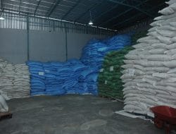 KKP Fasilitasi Pengolah Sisik Ikan di Boyolali Ekspor ke Jepang dan India