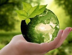 Soal Kesiapan Merawat Lingkungan Hidup, Ini Tanggapan Ketua FKKD, Ketua Forkopimcam, Forkopimda, Partai Dan Lainnnya