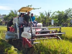 Jadi Lumbung Pangan Nasional, Pemkab dan Kementan Panen Raya di Bojonegoro