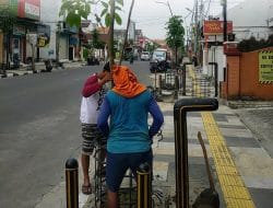 Pemkab Bojonegoro Tangani Penggantian Pohon Mati
