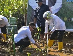 Bupati Trenggalek Tanam Mangrove bersama Gubernur Jatim