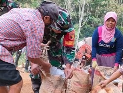 Luar Biasa, Semangat Ibu-Ibu Dalam Kegiatan Pra TMMD Ke-117 Kodim 0801/Pacitan