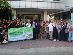 PT Pegadaian Kanwil XII Surabaya Kurban 70 Kambing dan 20 Sapi di Momen Idul Adha