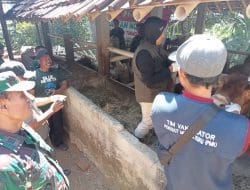 Kegiatan Non Fisik TMMD Ke-117 Kodim 0801/Pacitan, Berikan Vaksinasi Pada Hewan Ternak Warga