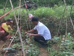 Rohmat Mahasiswa Polbangtan Malang Bina Poktan Pemanfaatan Lahan Pekarangan