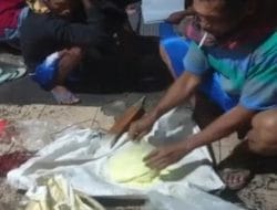 Bambang Mahasiswa Polbangtan Malang Kenalkan Bubur California