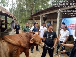 Program Ketahanan Pangan, Babinsa Koramil 0801/05 Nawangan Dampingi Penyerahan Hewan Ternak.