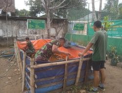 Perkuat Program Ketahanan Pangan Kodim 0801/Pacitan Panen Ikan Nila