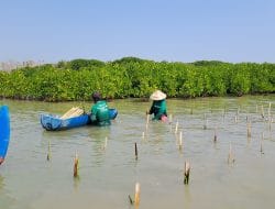Ide Kreatif Program CSR Lingkungan untuk Perusahaan Anda