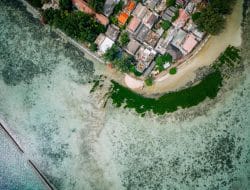 Kolaborasi LindungiHutan dan Smiling Coral Indonesia Hadirkan Harapan Baru untuk Lautan