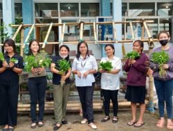 Membangun Mini Greenhouse dan Budidaya Tanaman Pangan dengan Kreativitas Mahasiswa Agribisnis Universitas Katolik Widya Kary