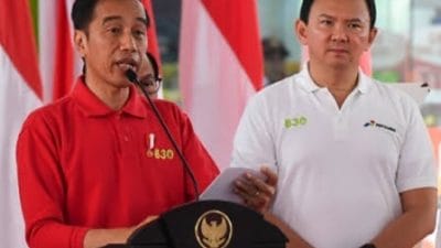 Prilaku Ahok Terhadap Presiden Jokowi Dan Capres Prabowo Seakan Seperti Pribahasa, “Bagai Menolong Anjing Terjepit”