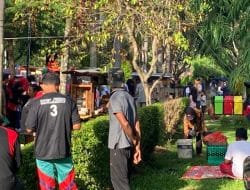 Waduh Rumput di Alun-alun Terinjak Peserta Jalan Sehat PDI Perjuangan