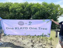 KLAYD Tanam 815 Mangrove Dukung Pelestarian Lingkungan di Kawasan Hutan Mangrove Ambulu Kabupaten Cirebon