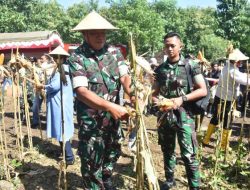 Panen Raya Jagung di Nganjuk, Kapoksahli : Petani Pahlawan Pangan