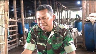 Demi Bantu Petani dan Masyarakat, Prajurit TNI AD ini Rela Rugi Rp 20 Juta Per Bulan