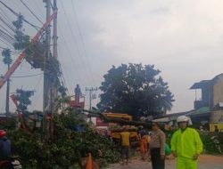 Polsek Sukmajaya Depok Gerak Cepat Turun ke Lokasi Kecelakaan Pohon Tumbang