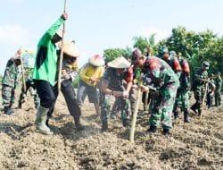 Penguatan Ketahanan Pangan, Kodim Bojonegoro Tanam Jagung Seluas 60 Hektar
