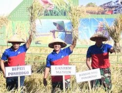 Panen Raya di Ponorogo, Danrem 081/DSJ Ajak Semua Pihak Bekerja Sama